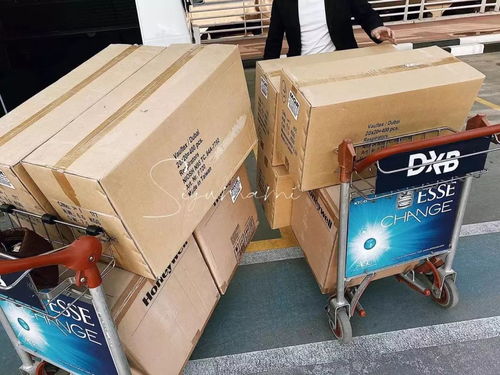 迪拜華人為我市捐贈4.4萬只口罩